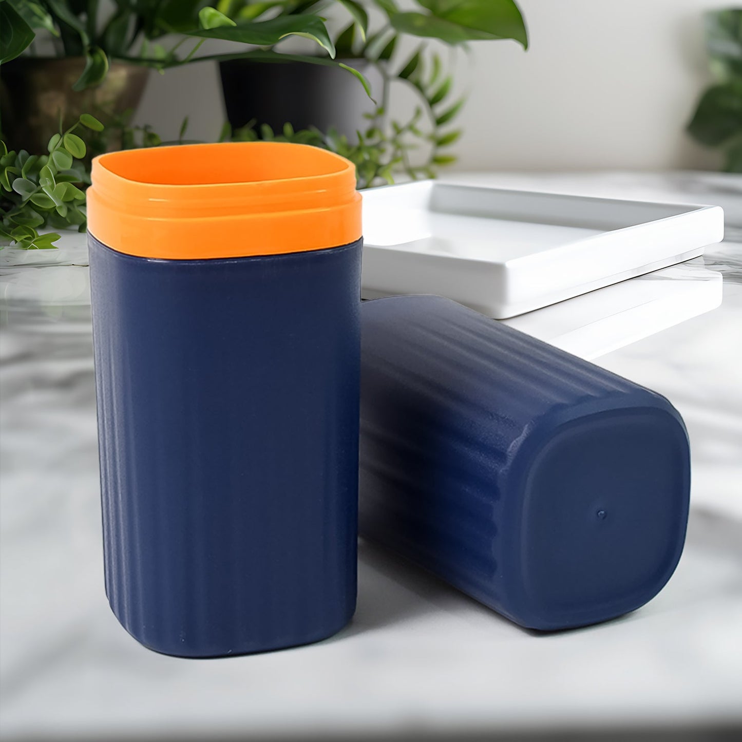 Plastic Hygienic Toothbrush Travel Portable Case Signaturekarts