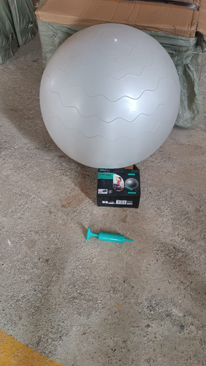 Heavy Duty Gym Ball Non-Slip Stability Ball with Foot Pump for Total Body Fitness Signature Kart