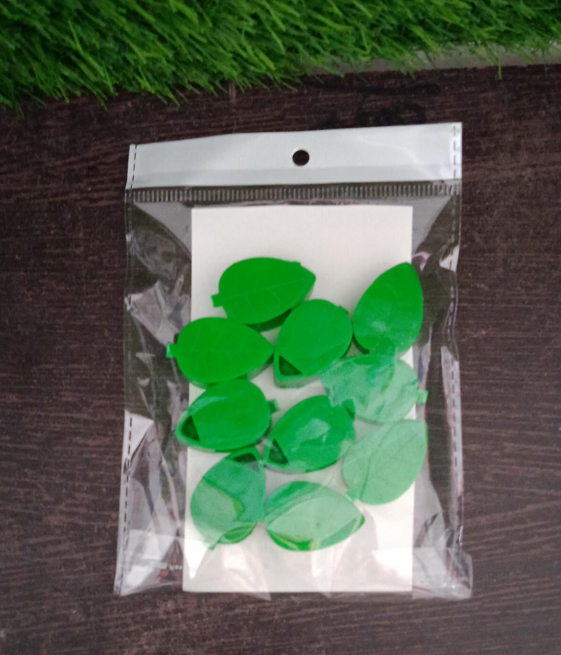 Plant Climbing Wall Clip,Self-Adhesive Vines Support Hooks for Indoor & Outdoor (10 Pcs Set) signaturekarts