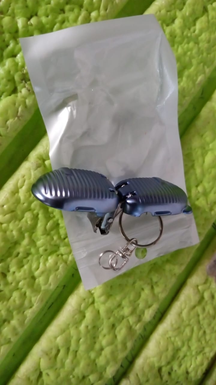 Keychain Nail Clipper | Small Nail Clippers Multicolor (1 Pc) Signaturekarts