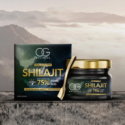 Og Wellness Pure Himalayan Shilajit Resin (20 Gm 1 Pc) - signaturekarts.com