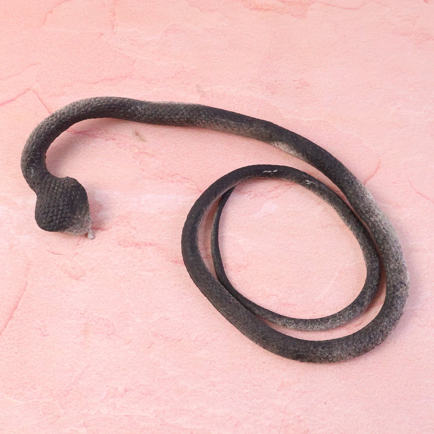 Realistic Dummy Snake Toy for Kids Pranks (1 Pc) The Morsignaturekarts