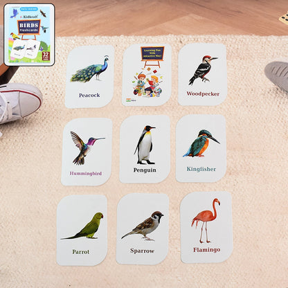 KidKraft Early Learner Educational Flashcards – 32 Birds Signature kart
