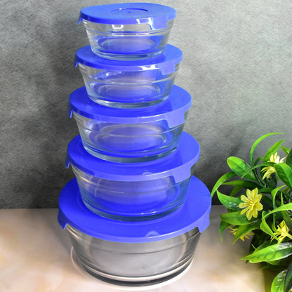 Modern Glass Bowl Set Mixing / Storage Bowls with Lids (5 Pcs Set) Signaturekarts