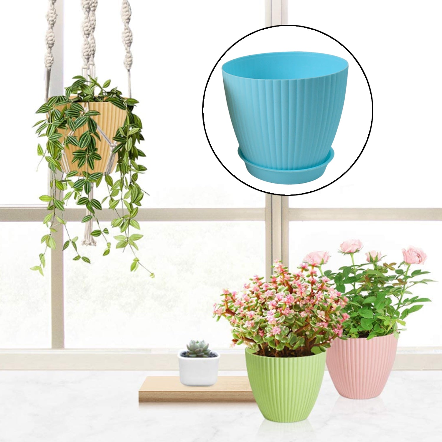 Round Plastic Flower Pot with Bottom Tray (5 Pcs Set / With Color Box) signaturekarts