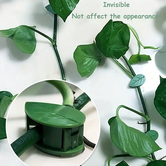 Plant Climbing Wall Clip,Self-Adhesive Vines Support Hooks for Indoor & Outdoor (10 Pcs Set) signaturekarts