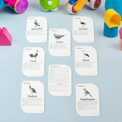 KidKraft Early Learner Educational Flashcards – 32 Birds Signature kart