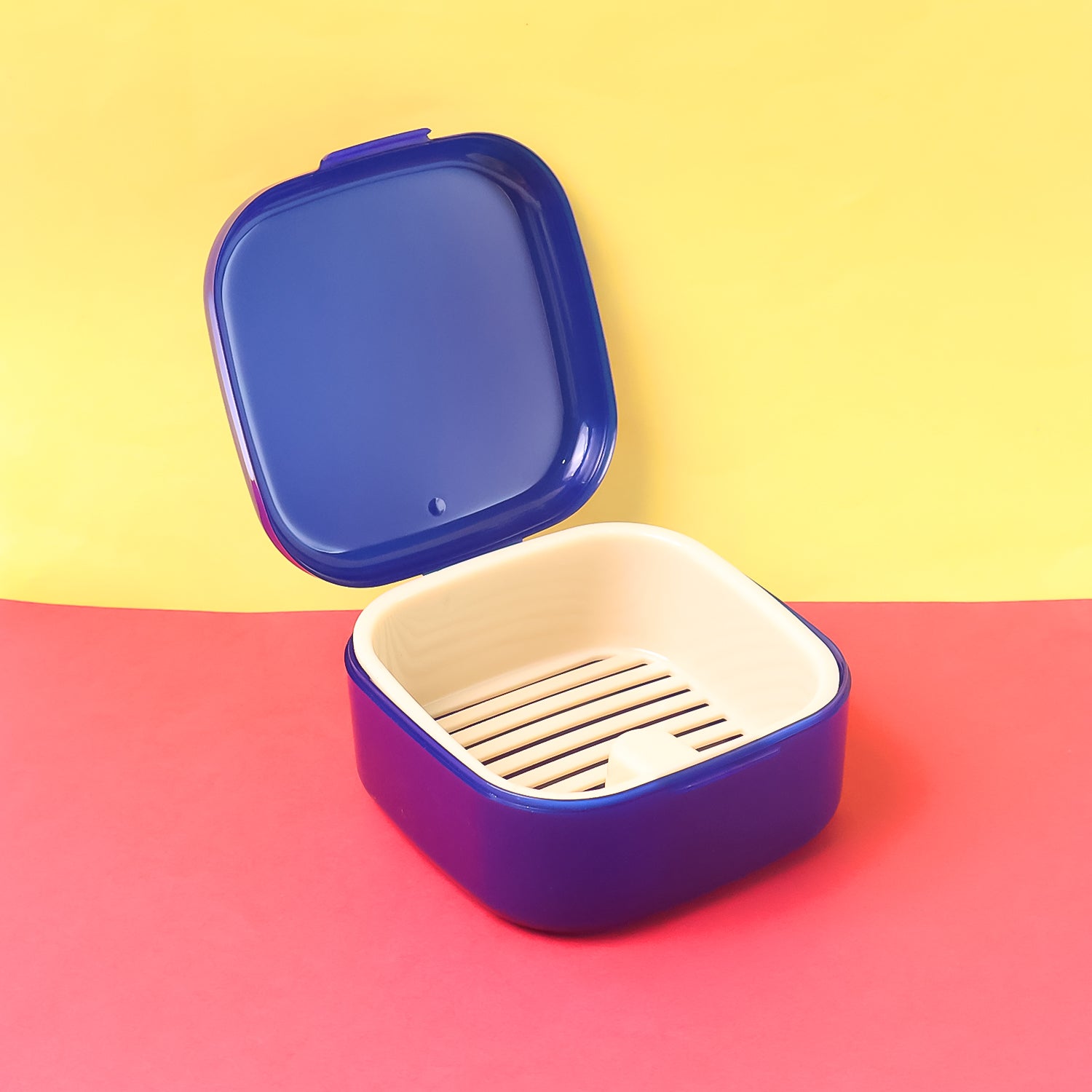 Oblivion Multi-Purpose Storage Box, DENTURE CASE (mix color & 1 Pc) Signature Kart