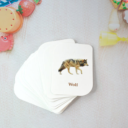 Kidkraft 32-Piece Animal Flash Cards Set Signature kart