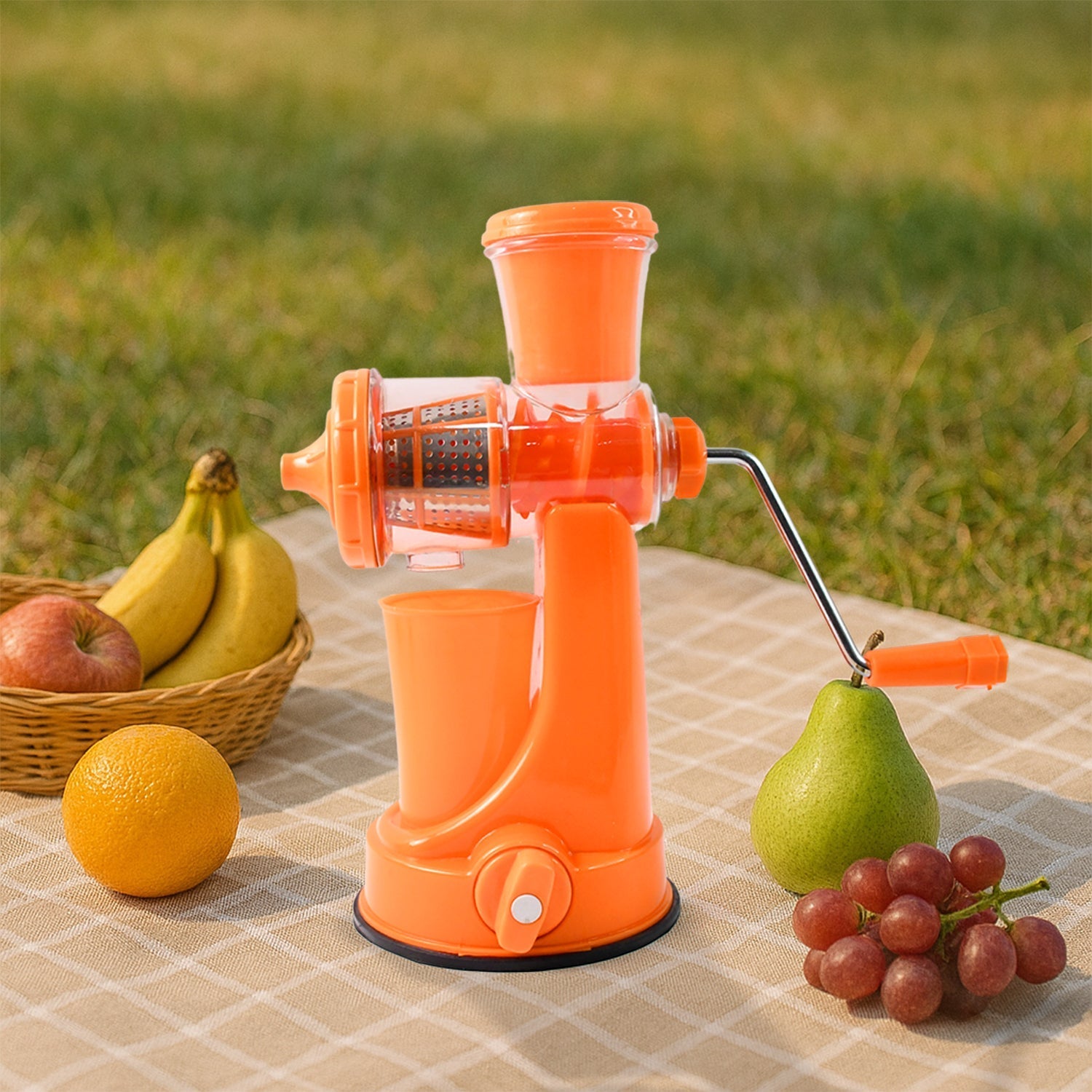 Manual Fruit Vegetable Juicer with Juice Cup and Waste Collector Signature Kart