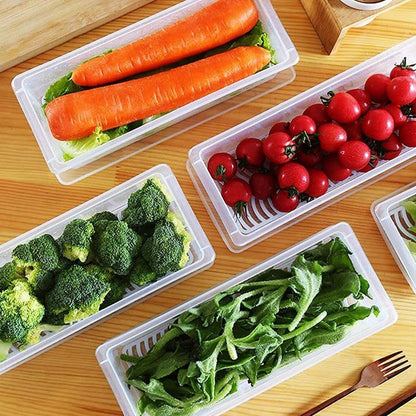 Vegetables & Fruits Freezer Storage Container (PACK OF 6PC 1500ML) Signaturekarts