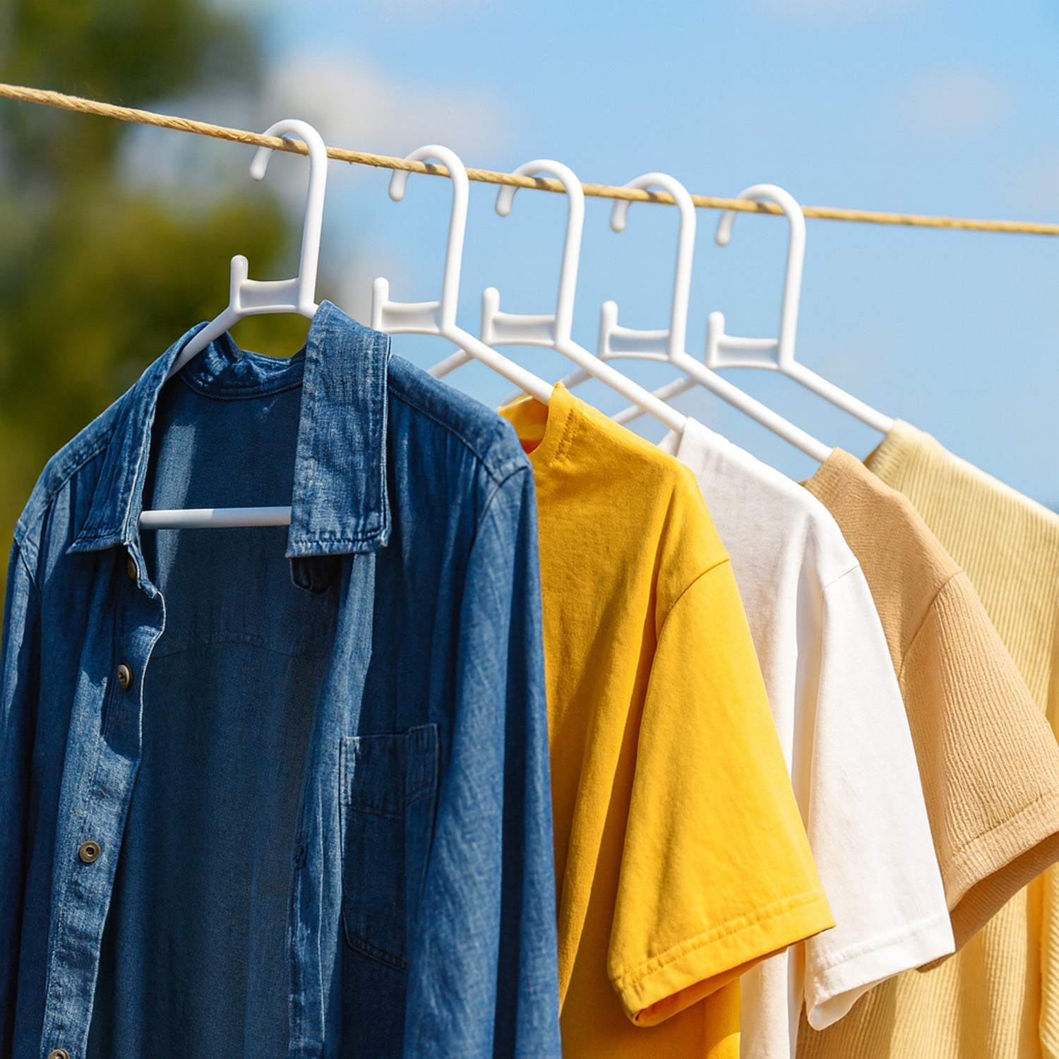 Plastic Clothes Hangers – Set of 6 The Morsignaturekarts