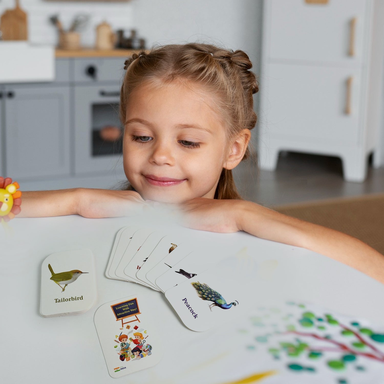 7-in-1 Kidkraft Early Learner Flashcard Combo Set ( 224 PC  CARD) Signature kart