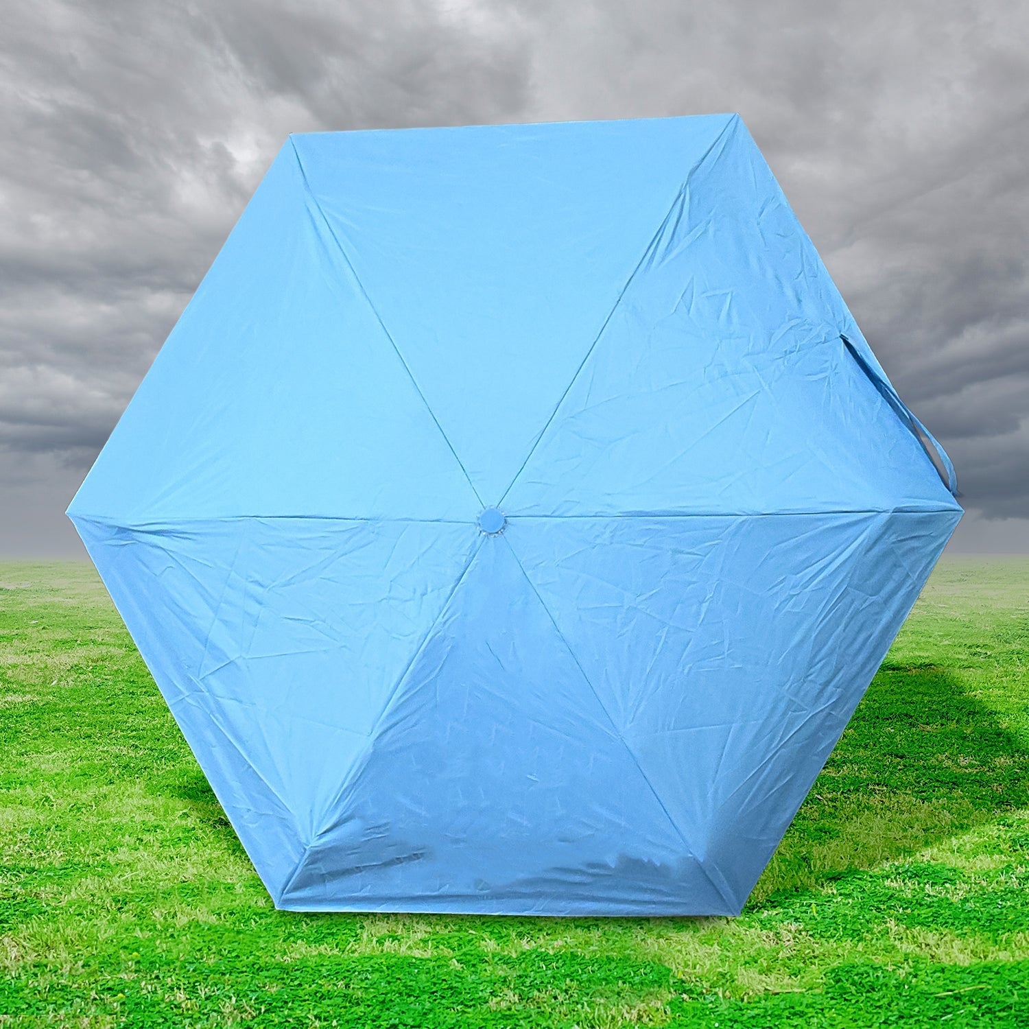 5 Fold Manual Open Umbrella With Capsule Case (1 Pc) Signaturekarts