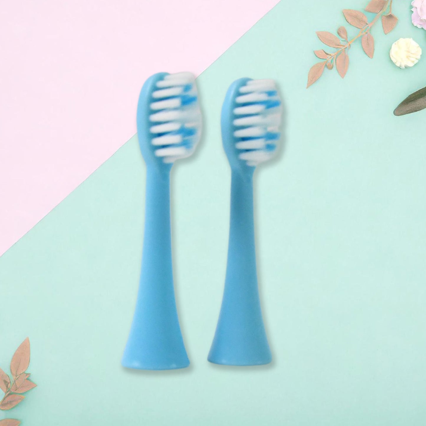 Electric Toothbrush Battery Operate (1 Pc / Battery not included) Signaturekarts