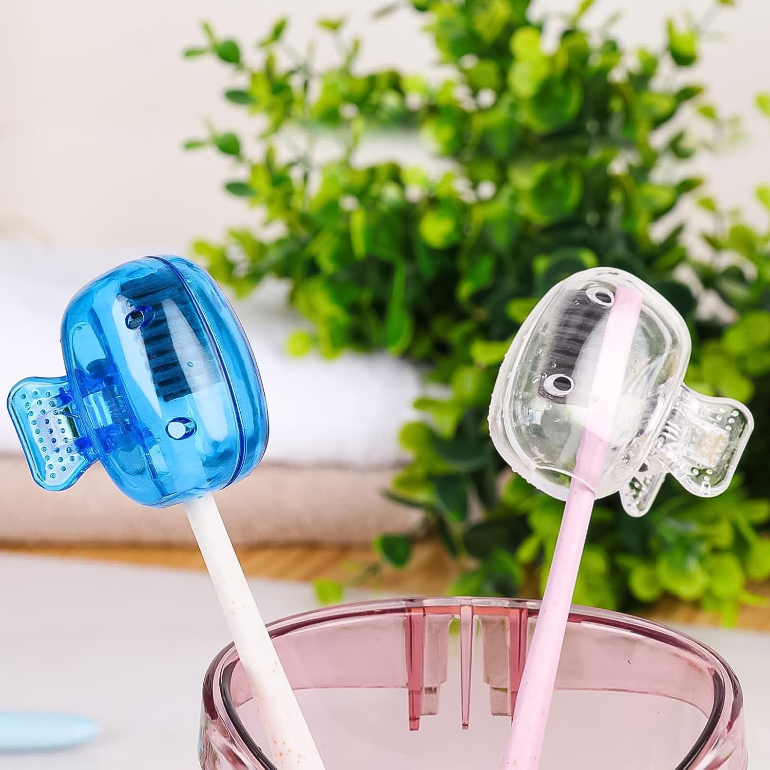 Plastic Toothbrush Head Cover Cap (1 Pc) Signature kart
