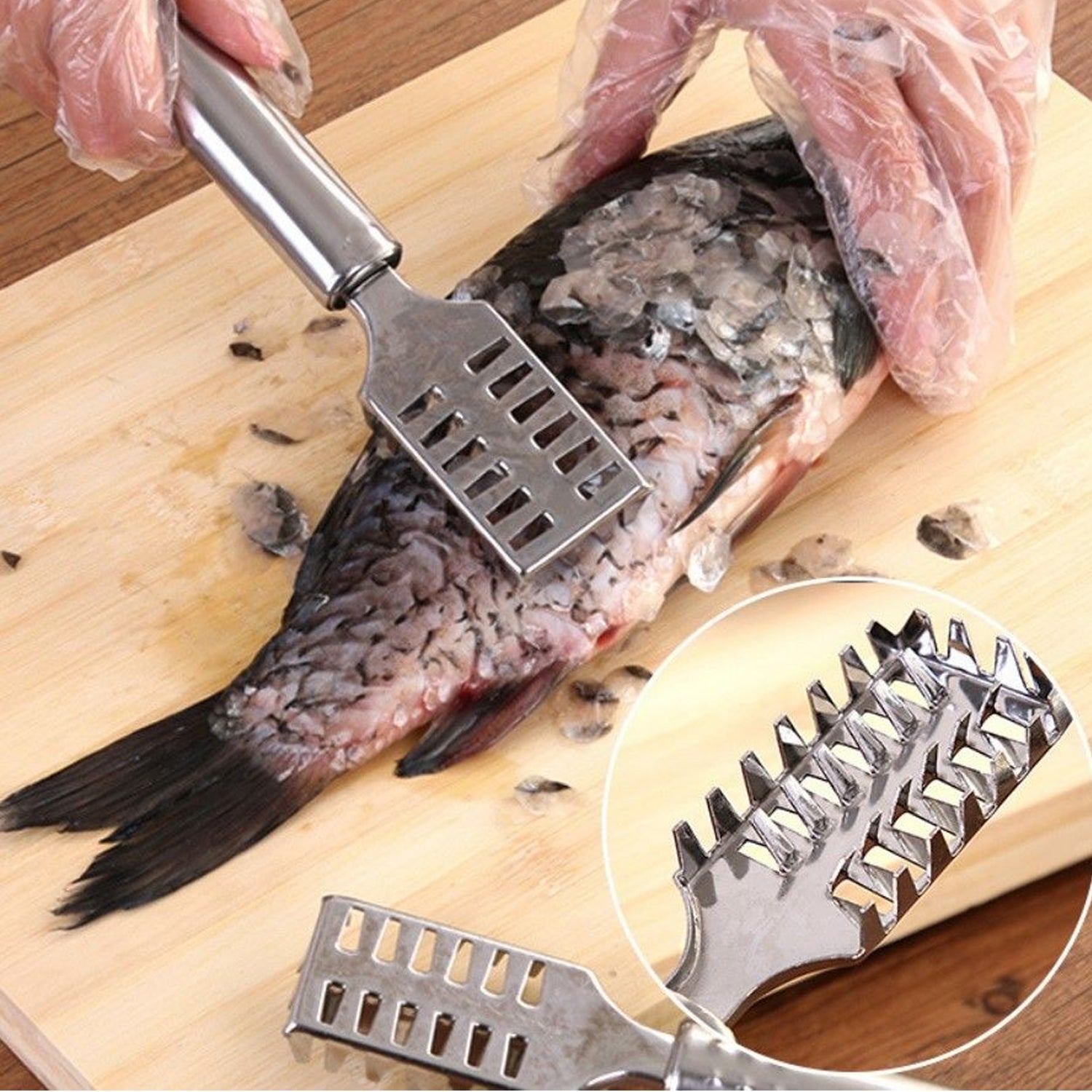 Stainless Steel Fish Scale Remover Scraper – Sawtooth Kitchen Tool signaturekarts
