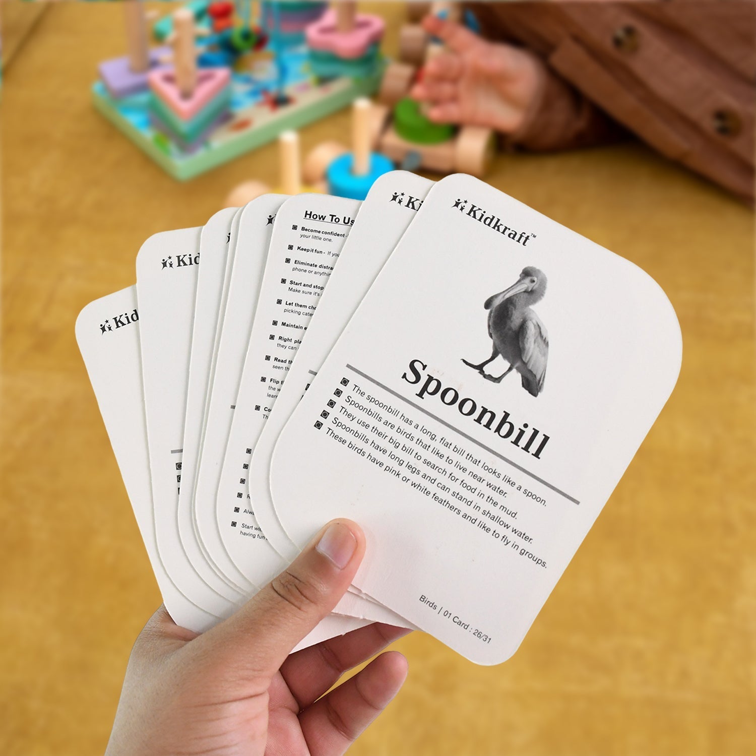 KidKraft Early Learner Educational Flashcards – 32 Birds Signature kart