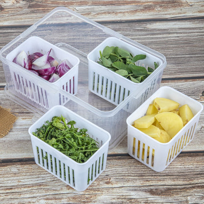 Fridge Storage Box – Freezer & Kitchen Organizer for Vegetables & Food (1 Pc) signaturekarts