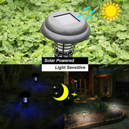 Garden Lighting UV LED Solar Powered LED Mosquito Trap / Bug Zapper  (2 Pc) Signaturekarts