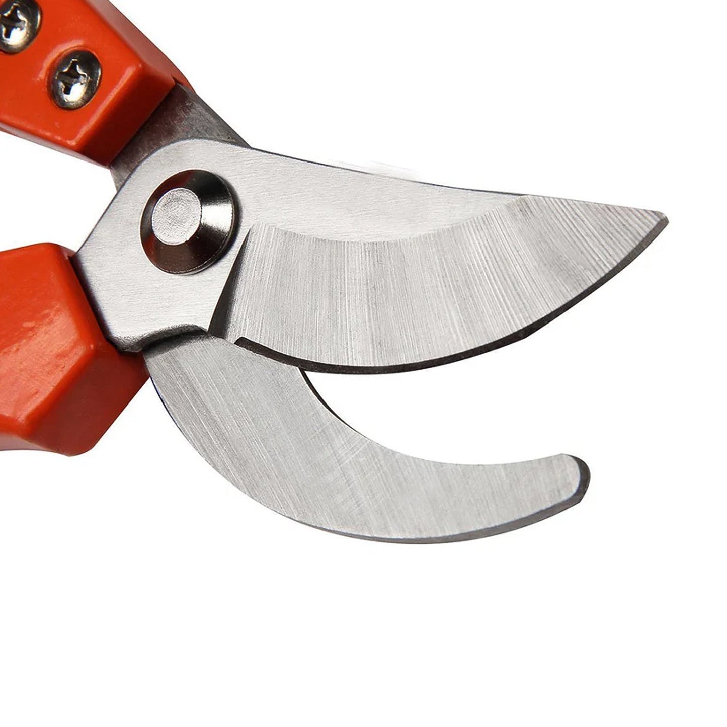 Tiger Garden Shears Pruners Scissor, flower cutter Signature Kart