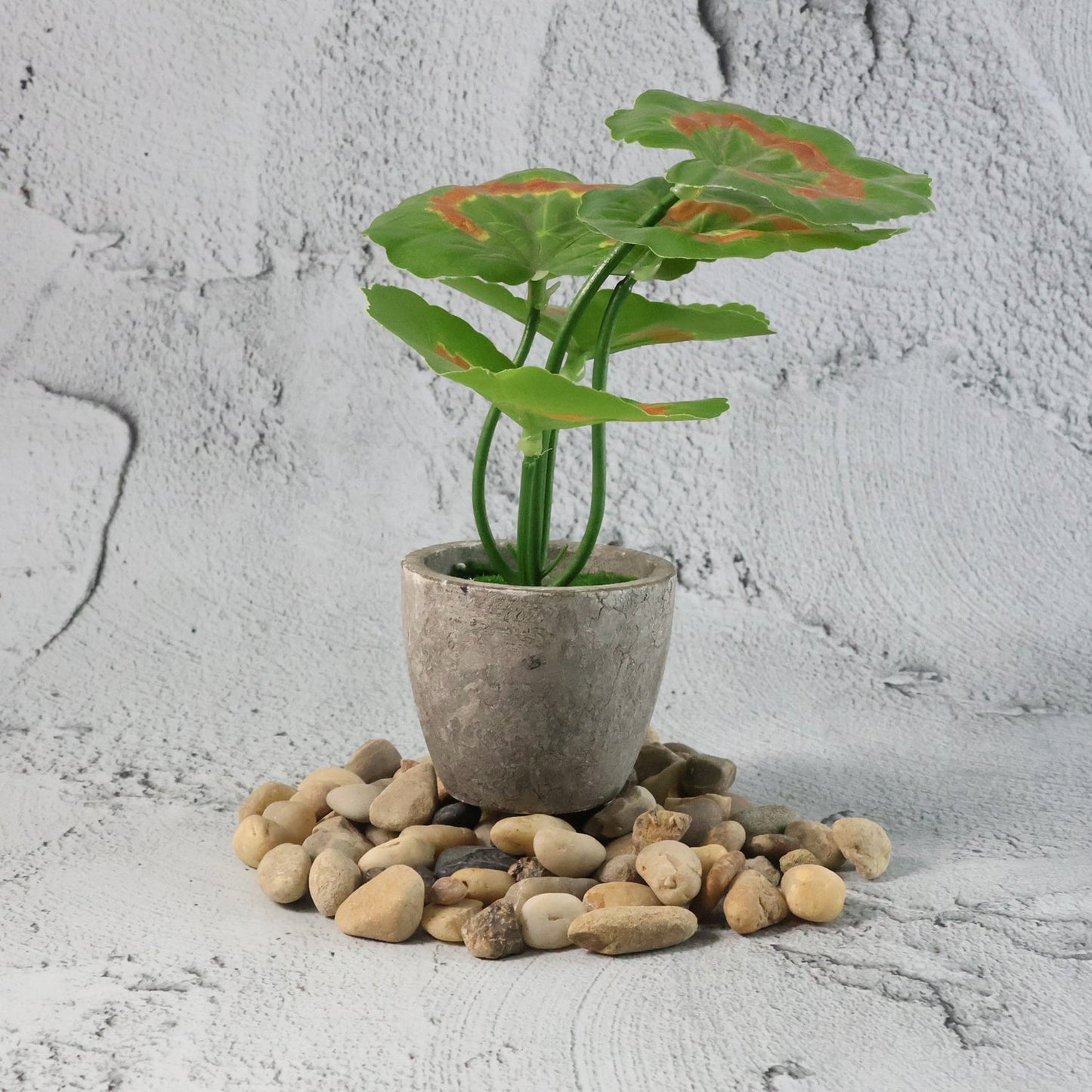 Decorative River Rock Stones (1 Set) The Morsignaturekarts