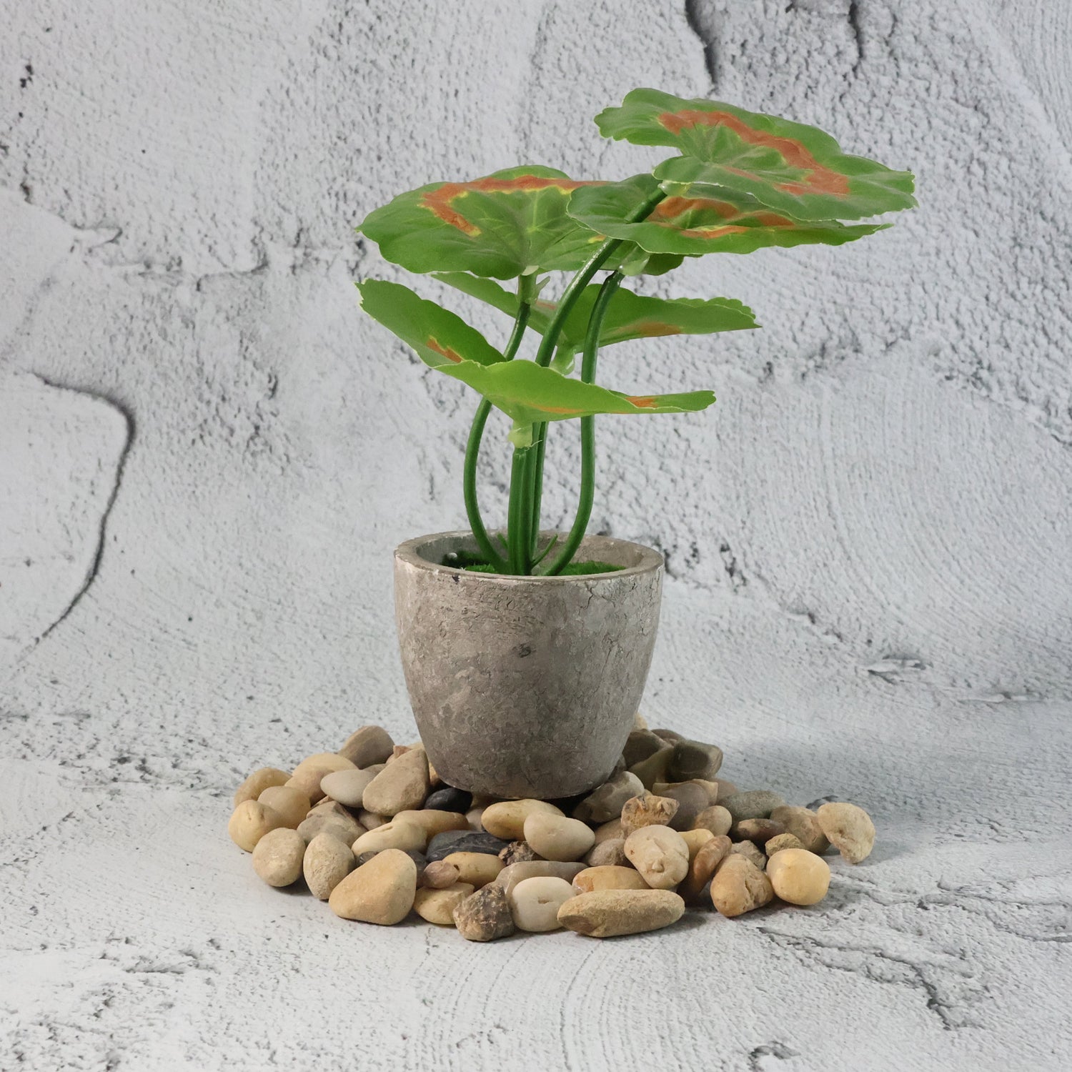 Decorative River Rock Stones (1 Set) The Morsignaturekarts