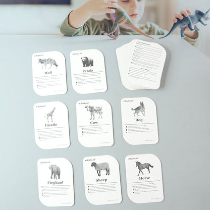 Kidkraft 32-Piece Animal Flash Cards Set Signature kart