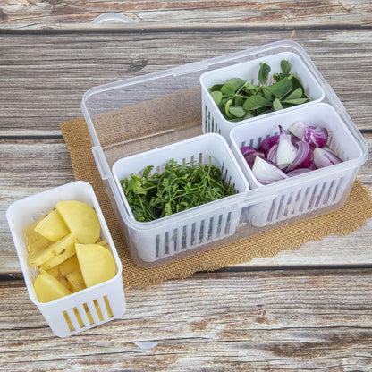 Fridge Storage Box – Freezer & Kitchen Organizer for Vegetables & Food (1 Pc) signaturekarts