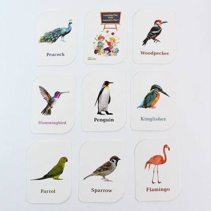KidKraft Early Learner Educational Flashcards – 32 Birds Signature kart