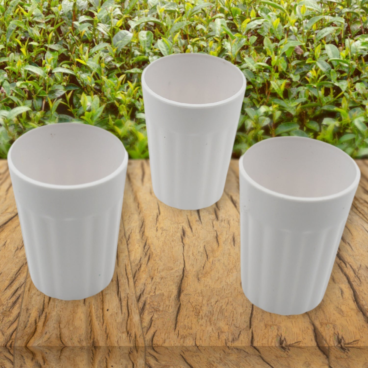 Small Plastic Coffee / Tea Cups Reusable Plastic Cup Mug(3 Pcs Set) signaturekarts