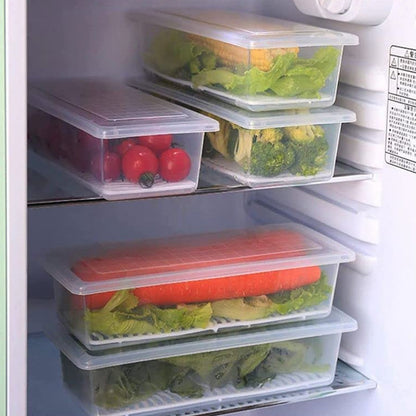 Vegetables & Fruits Freezer Storage Container (PACK OF 6PC 1500ML) Signaturekarts