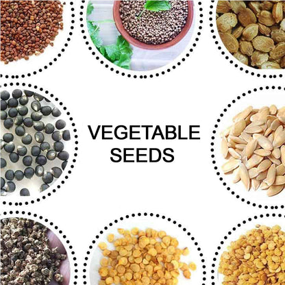 15 Varieties of Vegetable Seeds Combo (1 Pkt. / 15 Varieties) Signature kart