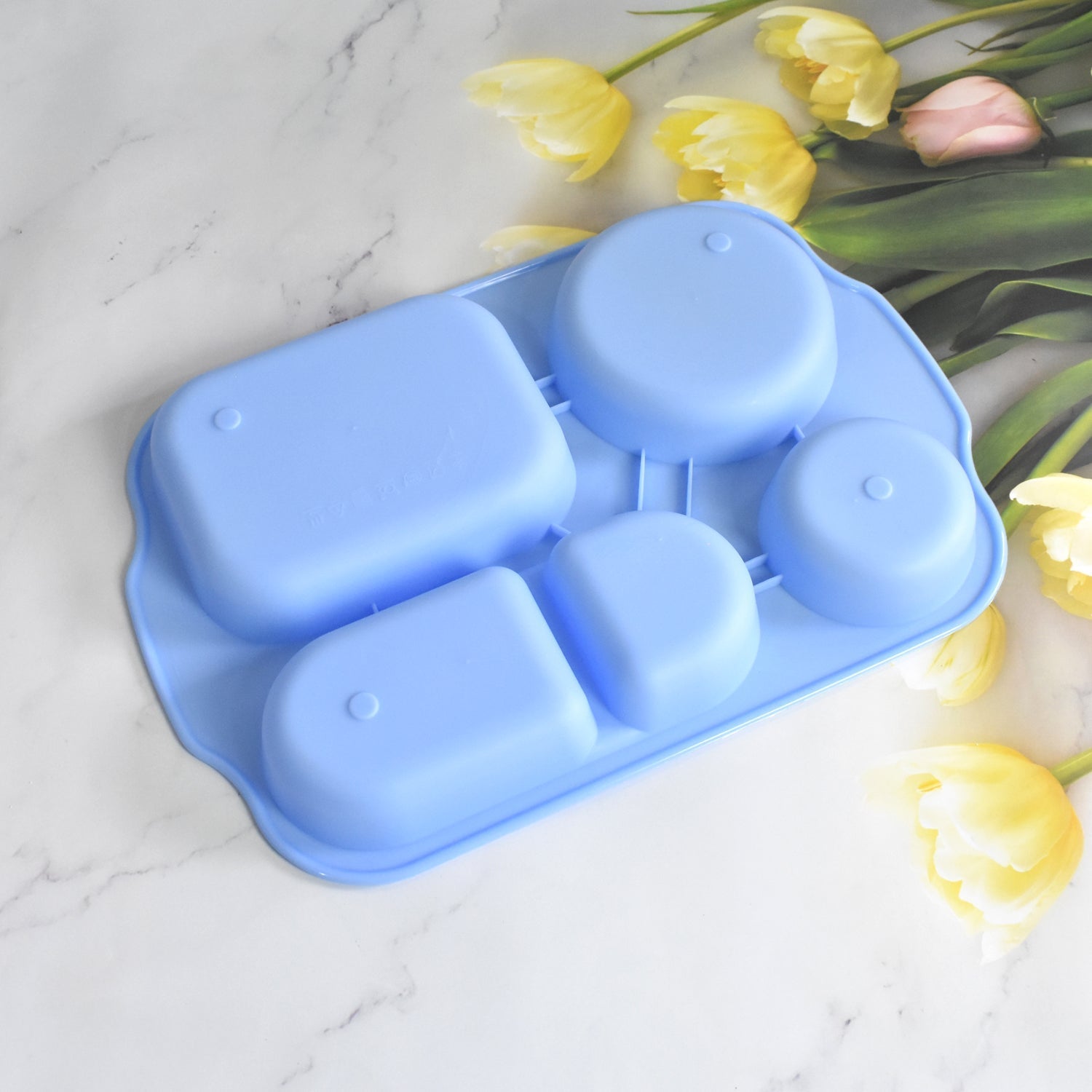 Unbreakable Plastic Food Plates / Biodegradable 5 Compartment Square Plate for Food Your Brand