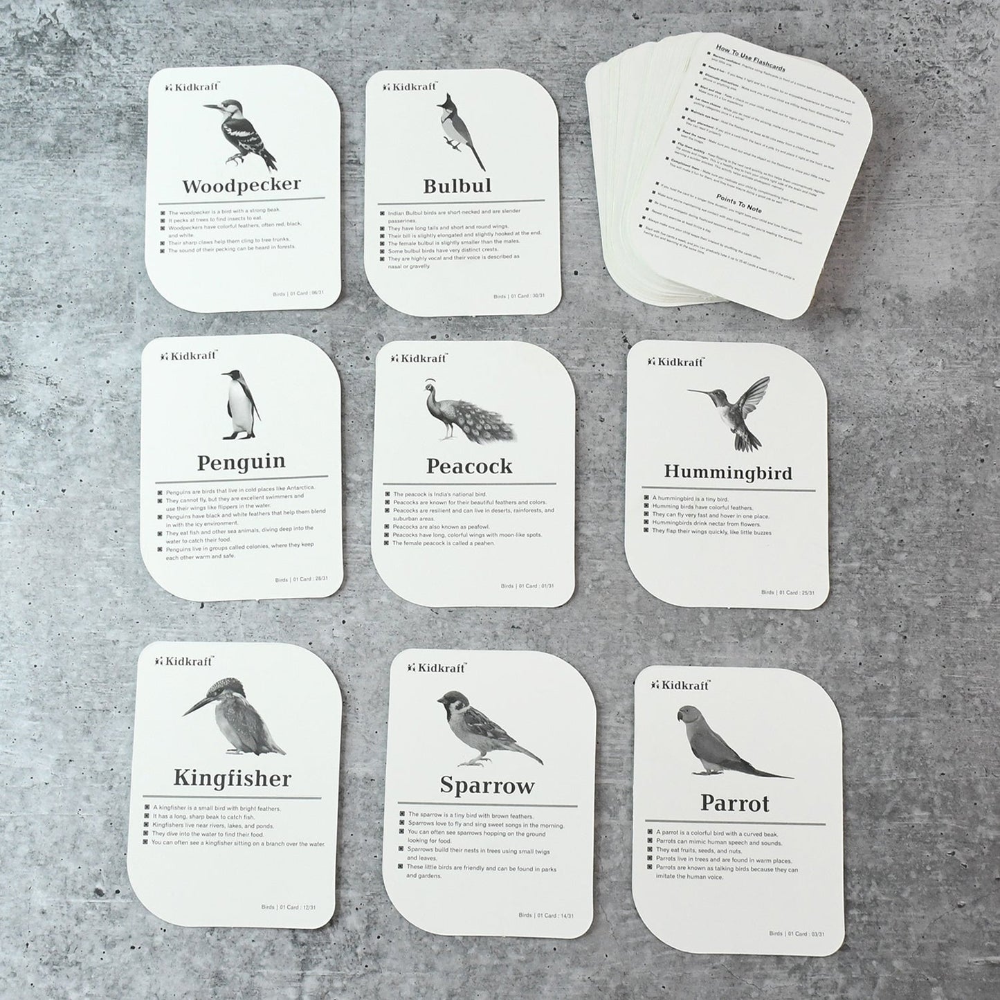 KidKraft Early Learner Educational Flashcards – 32 Birds Signature kart