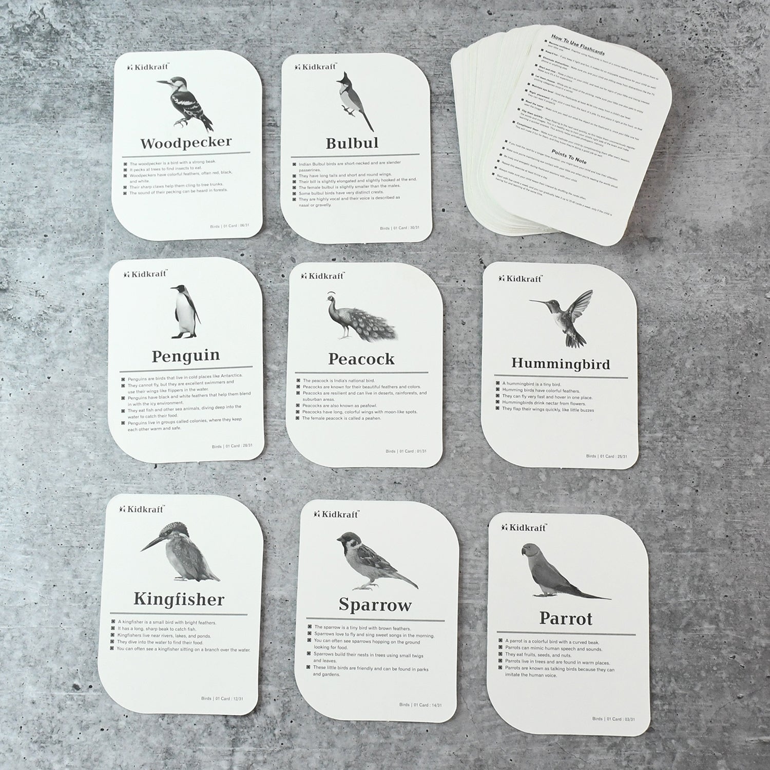 KidKraft Early Learner Educational Flashcards – 32 Birds Signature kart