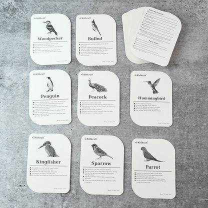 KidKraft Early Learner Educational Flashcards – 32 Birds Signature kart