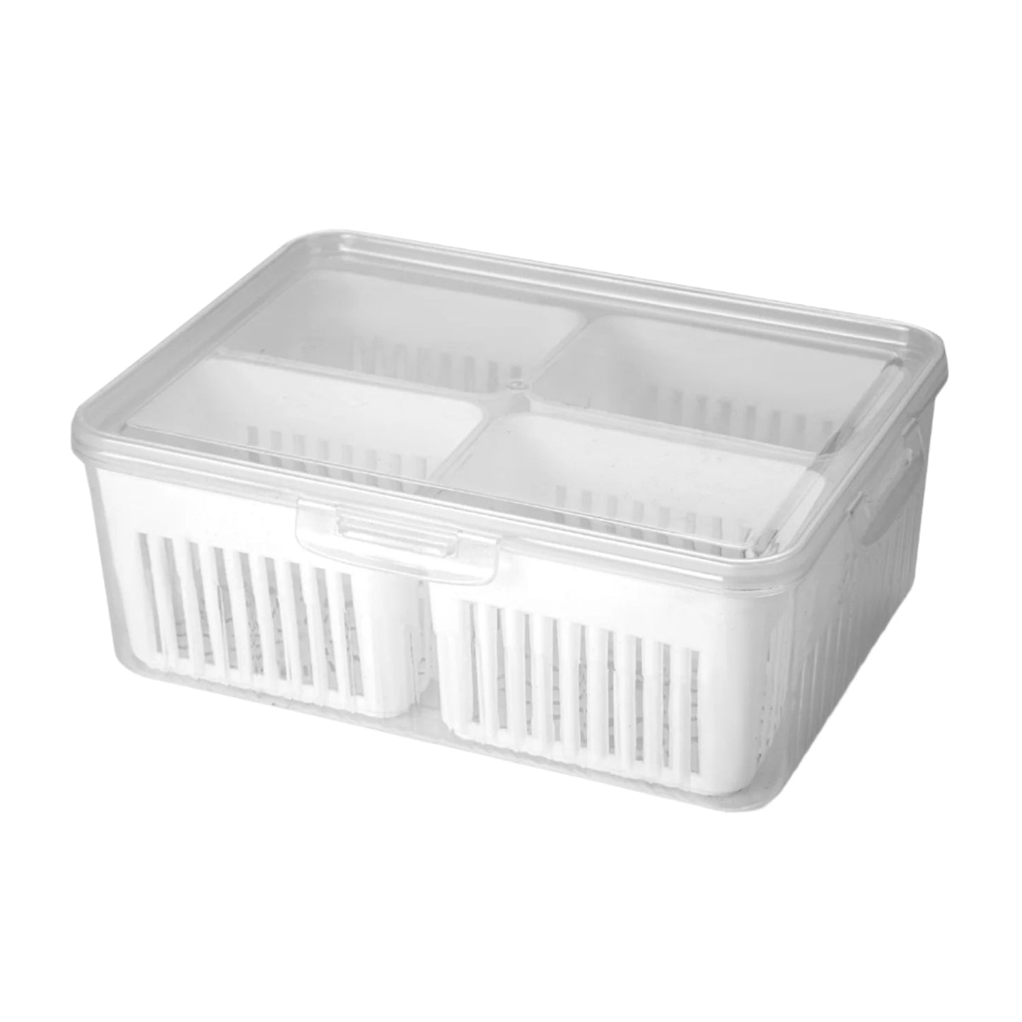 Fridge Storage Box – Freezer & Kitchen Organizer for Vegetables & Food (1 Pc) signaturekarts