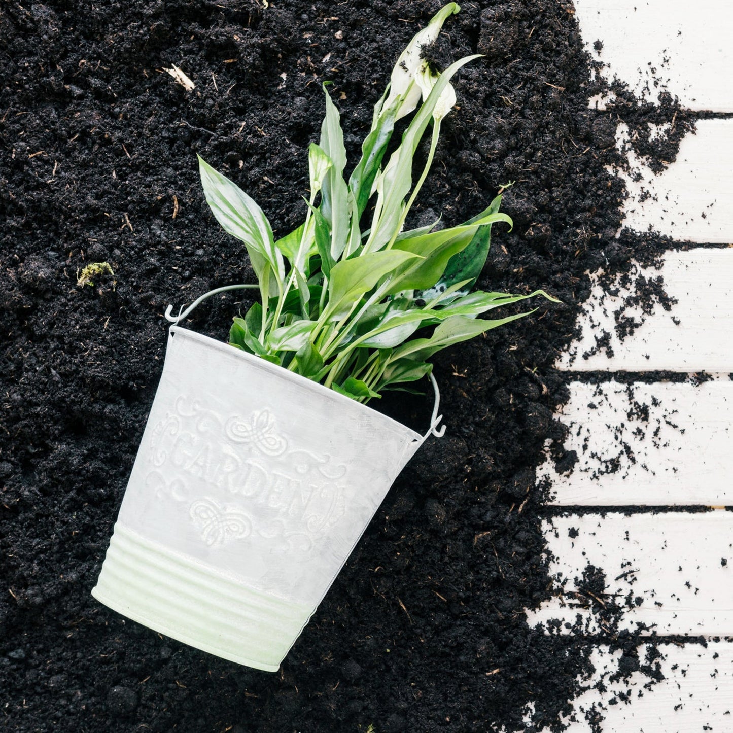 Organic Vermicompost Black Soil for Plants Health Manure (1 KG Approx) Signaturekarts