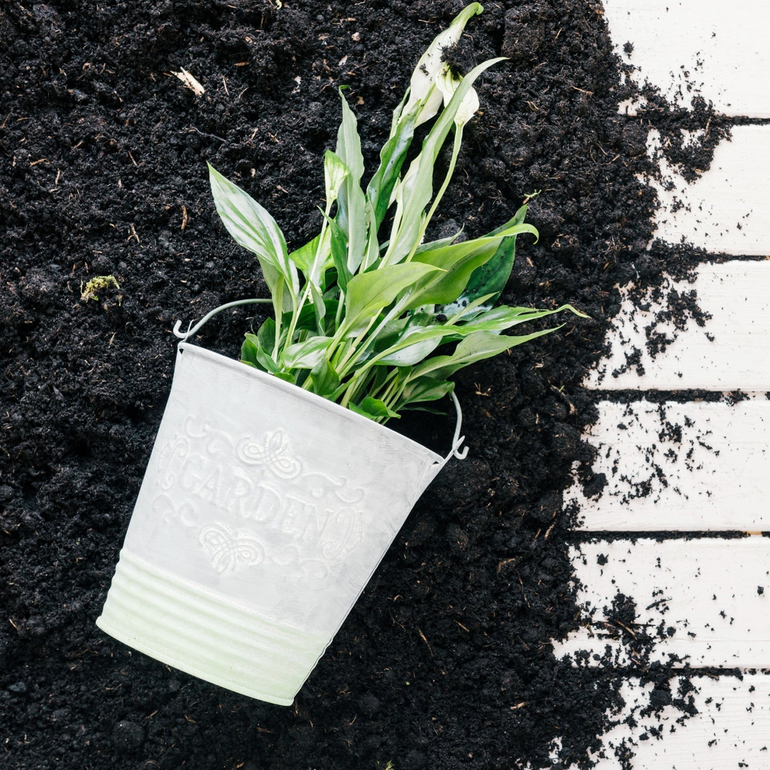 Organic Vermicompost Black Soil for Plants Health Manure (1 KG Approx) Signaturekarts