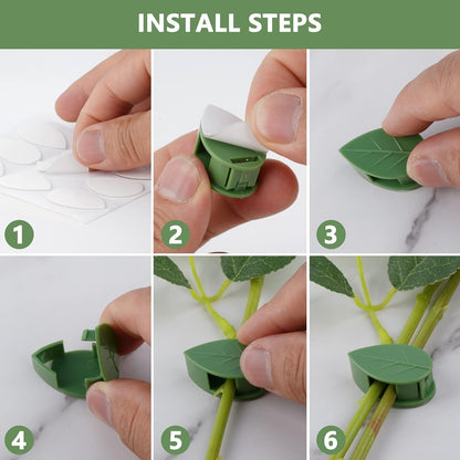 Plant Climbing Wall Clip,Self-Adhesive Vines Support Hooks for Indoor & Outdoor (10 Pcs Set) signaturekarts