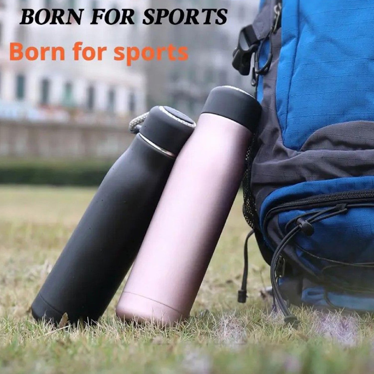 Double Wall Vacuum Insulated Water Bottle (550 ML) Signature Kart