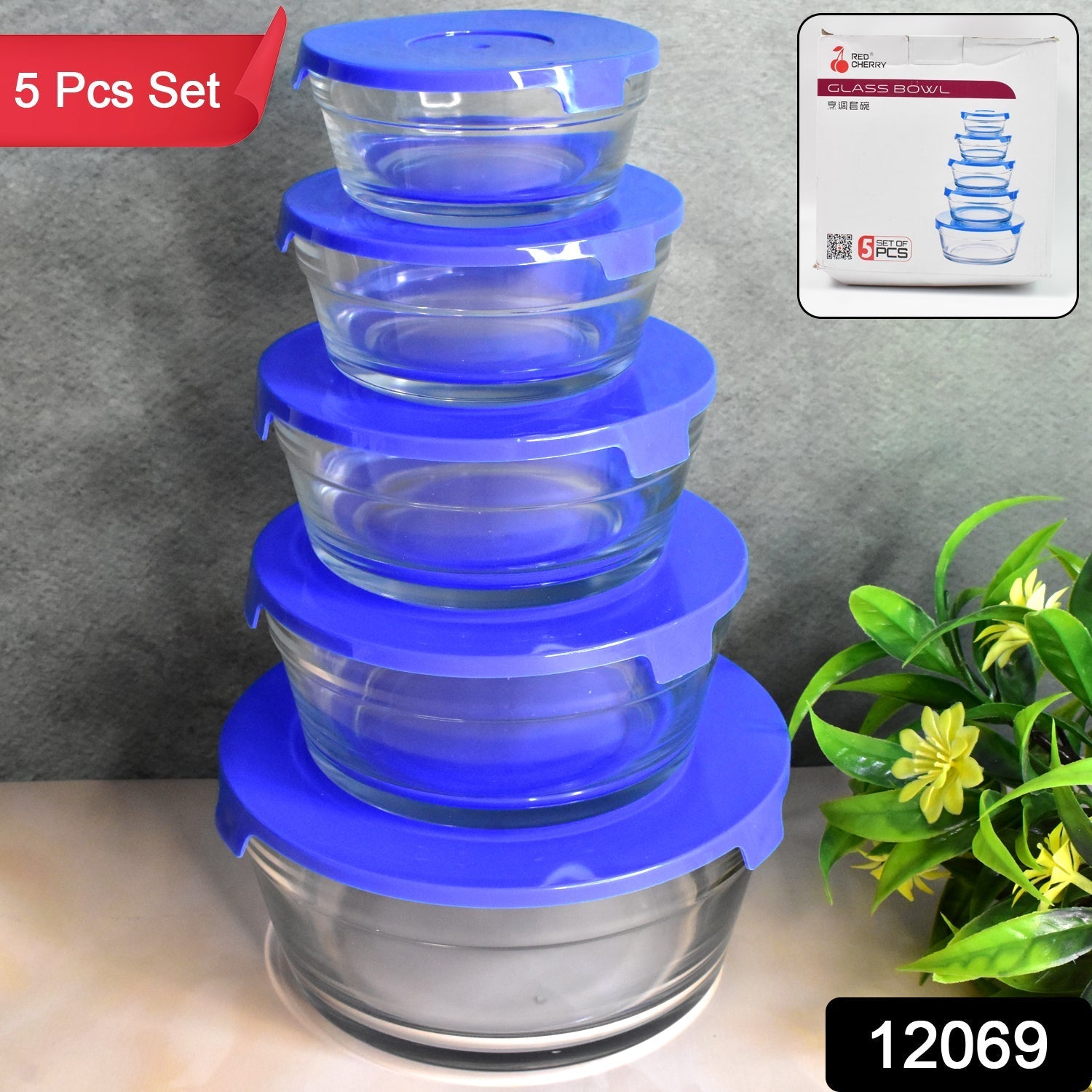 Modern Glass Bowl Set Mixing / Storage Bowls with Lids (5 Pcs Set) Signaturekarts