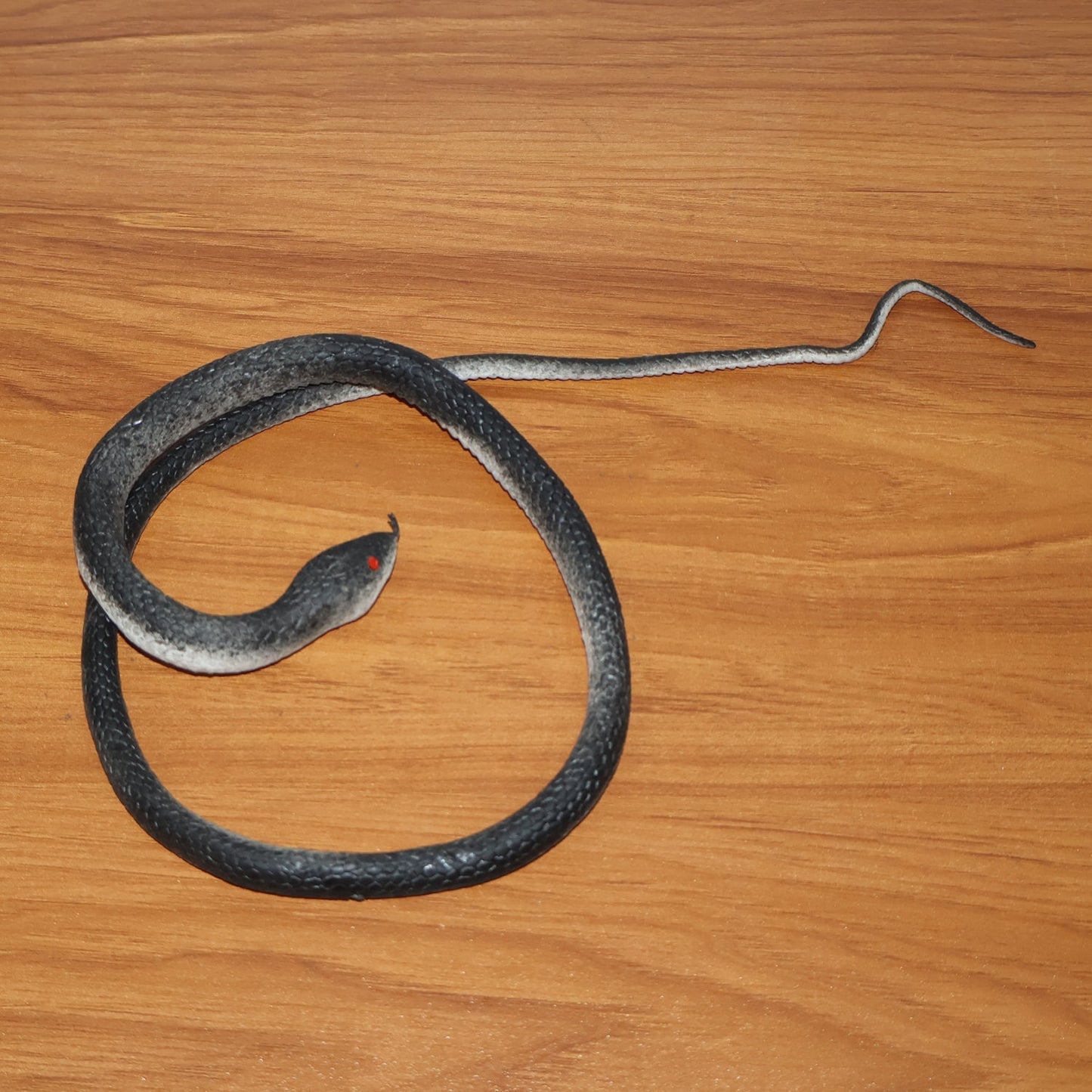 Realistic Rubber Snake Prank Toy (1 Pc) The Morsignaturekarts