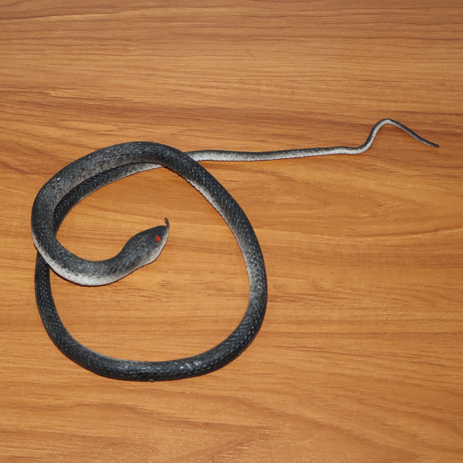 Realistic Rubber Snake Prank Toy (1 Pc) The Morsignaturekarts