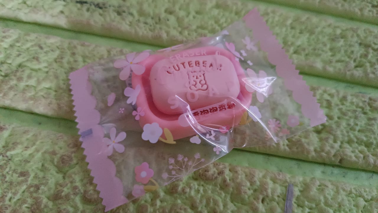 Cute Soap Shaped Erasers With Plastic Case (1 Pc / With Case) Signaturekarts