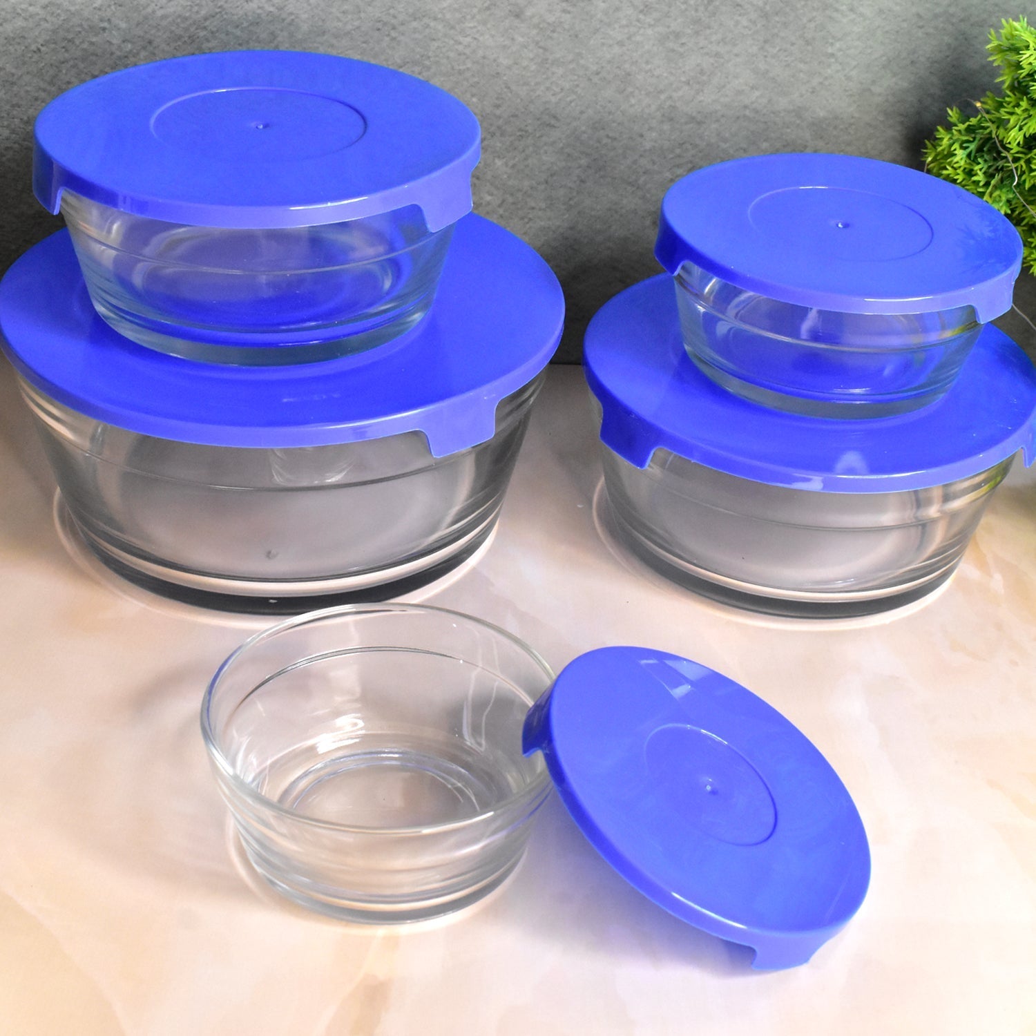 Modern Glass Bowl Set Mixing / Storage Bowls with Lids (5 Pcs Set) Signaturekarts