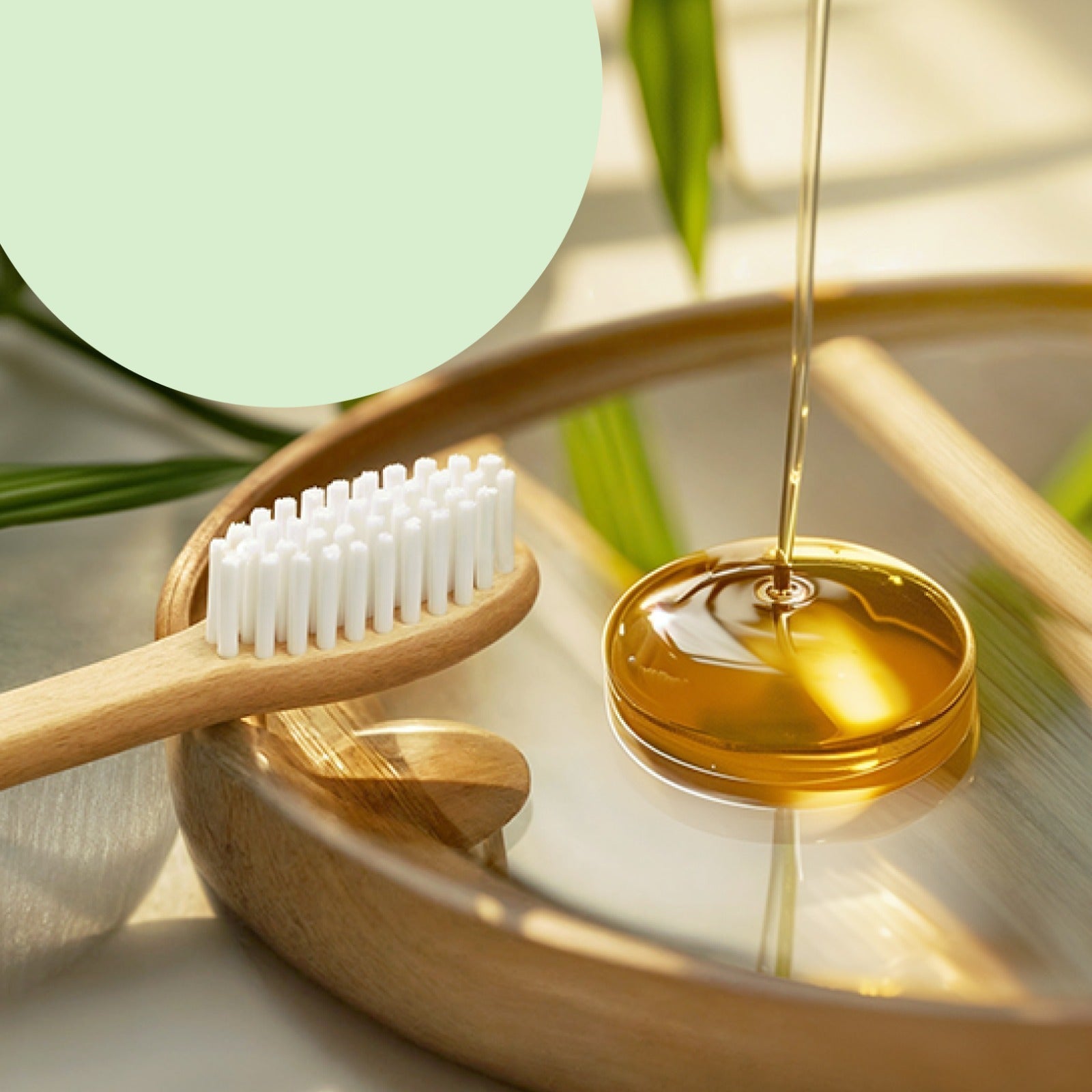 Eco-Friendly Natural Bamboo Toothbrush with Medium Bristles (2 Pc) signaturekarts