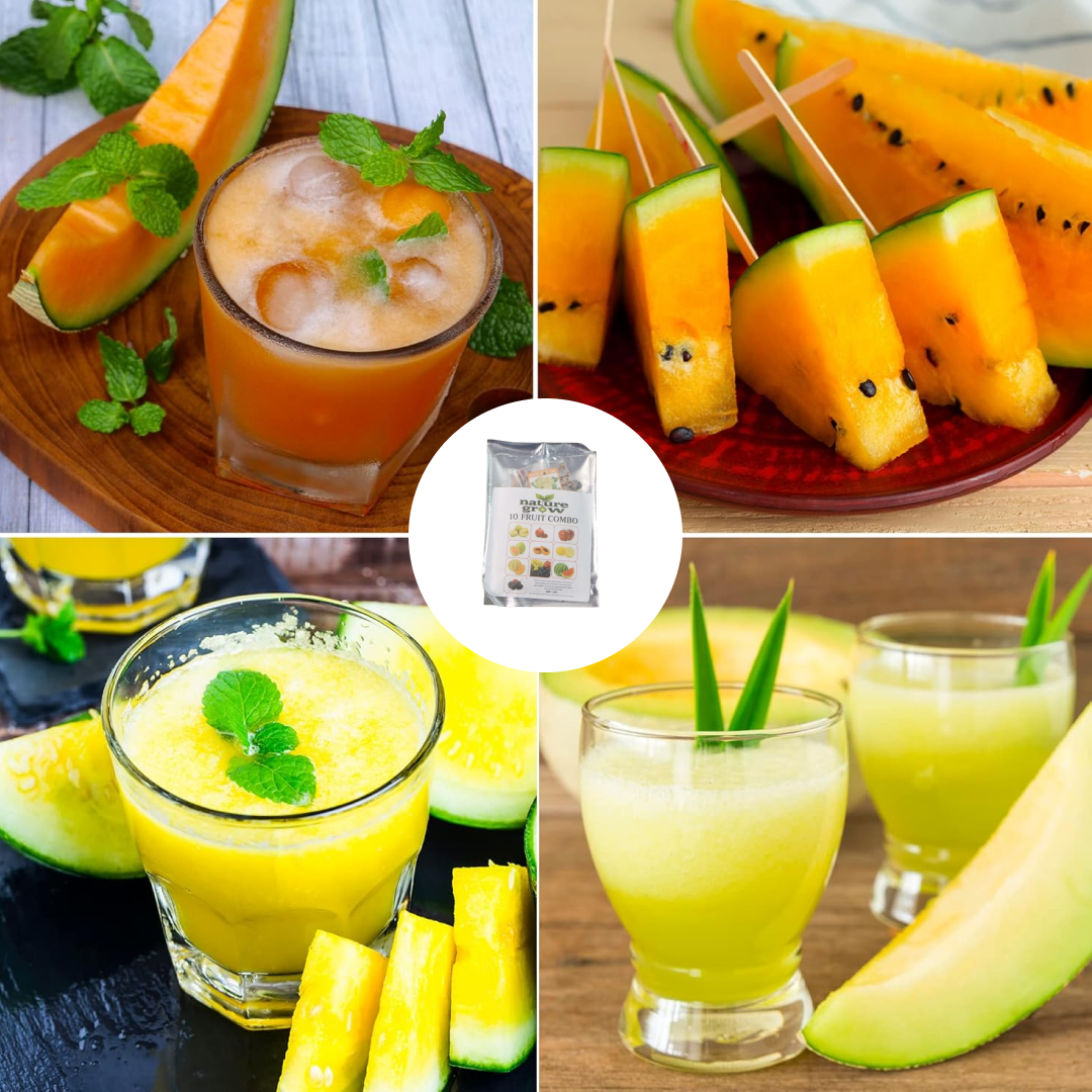 Fruit Seeds Combo Pack - (10 Pc / Set) signaturekarts