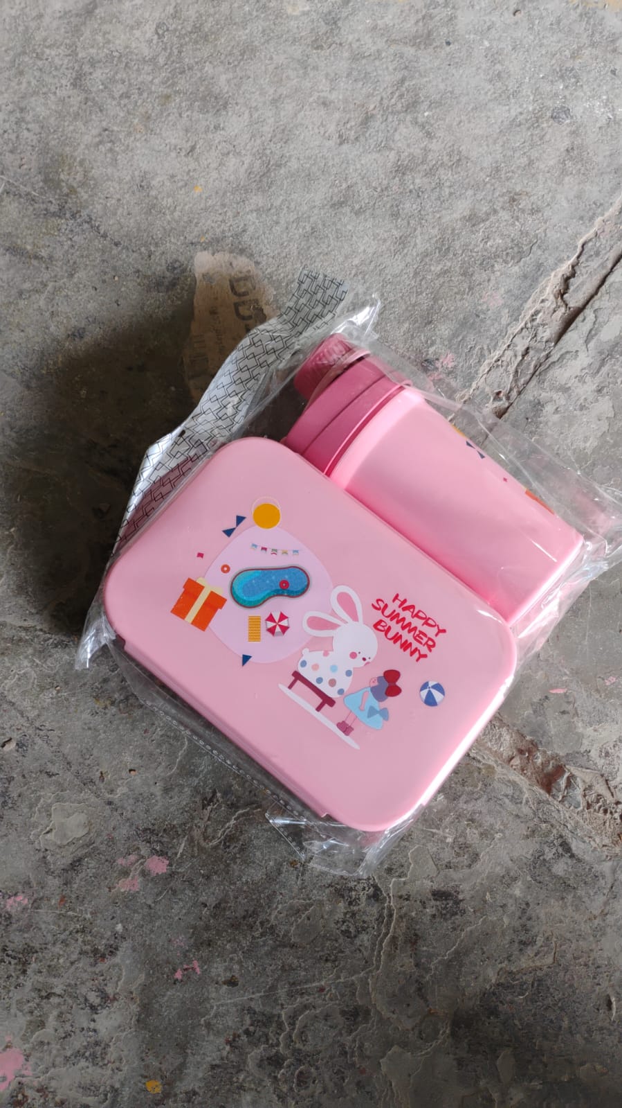 Plastic Lunch Box Leak Proof 2 Compartment with Bottle and Fork (1 Set / Mix Color) Signaturekarts